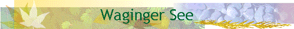 Waginger See